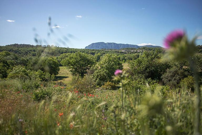 Holiday home Du Lamalou *